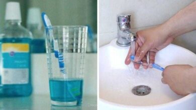 10 Dicas para limpar escova de dentes