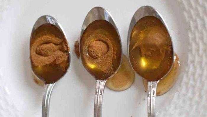 10 doenças que podem ser evitadas com canela e mel s