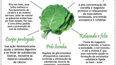 11 Motivos que vão te convencer a consumir couve todos os dias