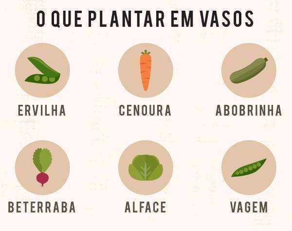 12 VERDURAS E LEGUMES PARA PLANTAR EM VASOS
