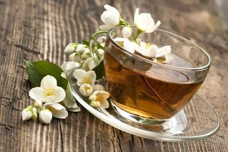 Remédios Caseiros com Jasmim