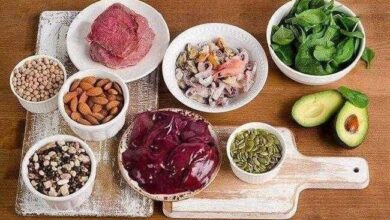 Alimentos Ricos em Zinco