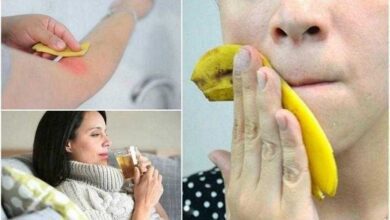 7 Usos da casca de banana INCRÍVEIS
