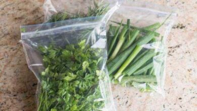 Como Congelar Ervas e Temperos