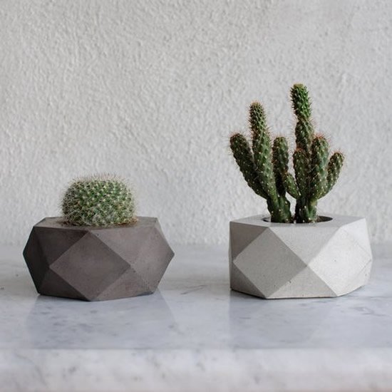Vasinhos de Cimento para Suculentas