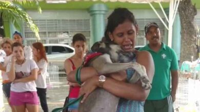 Donos reencontram em feira de adoção cão que estava perdido há 7 meses e