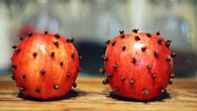 Repelente natural para ambientes interno ou externo