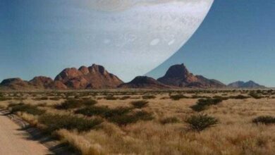 11 fatos curiosos que vão dar pane na sua mente