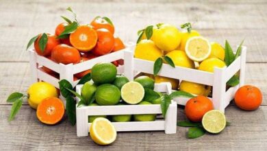 6 formas de temperar alimentos usando laranja e limão