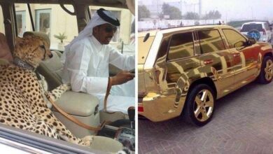 21 Coisas extravagantes que só existe em Dubai