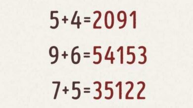 Se você conseguir resolver essa equação você é um gênio
