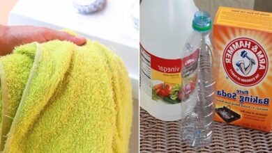 Como Tirar Mau Cheiro De Toalhas