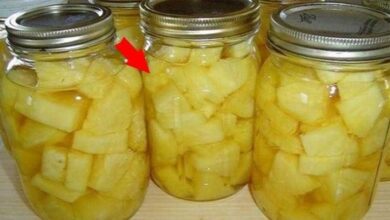 Conheça os benefícios da água de abacaxi