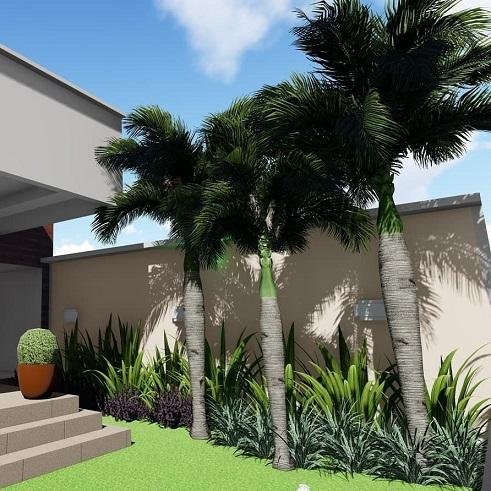 Tipos-de-palmeiras-para-jardim-Palmeira-Imperial