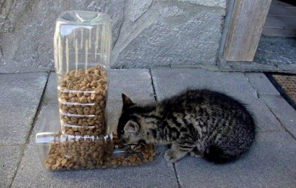 artesanatos reciclado