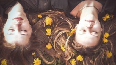 Não é preciso ferir para ensinar, nem ser ferido para aprender…