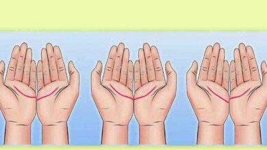 Modo como as mãos se encaixam podem revelar seu futuro amoroso