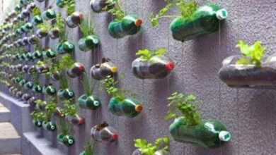 10 Maneiras úteis e criativas de reciclar garrafas PET