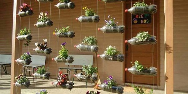 jardim suspenso com garrafa pet