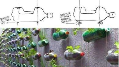 Como fazer horta com garrafa pet