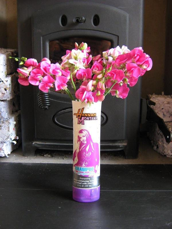 Dicas de Artesanato com Embalagem de Shampoo