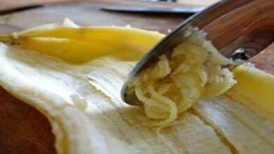 Nunca mais jogue fora essa parte da banana! Aqui está o porquê...