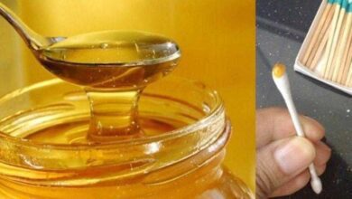 Descubra se o mel que você comprou é puro ou foi adulterado