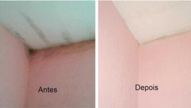 Como acabar com o mofo das paredes