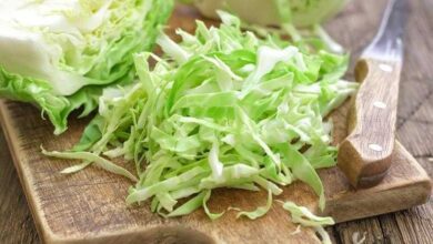 O repolho e os seus benefícios medicinais 1