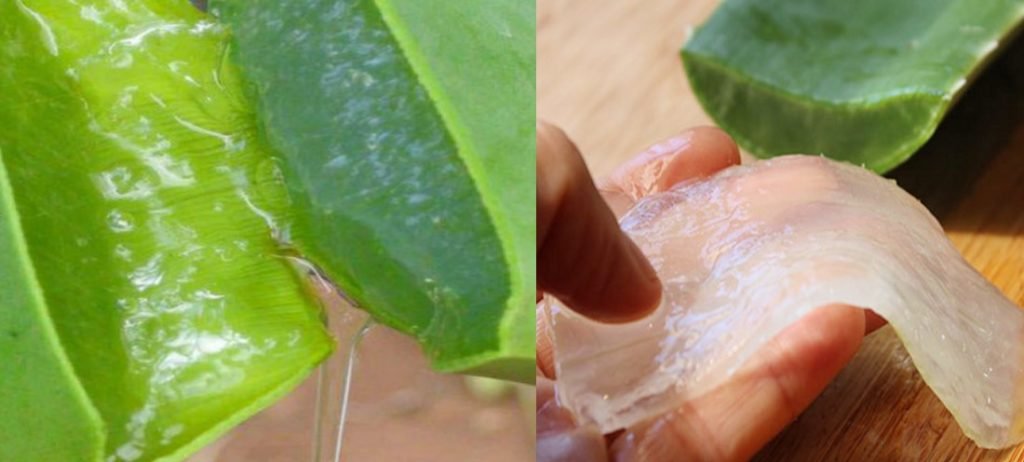 Tratamentos caseiros para queda de cabelo