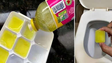 Como deixar o banheiro cheiroso por até 1 semana com essas pastilhas caseiras de apenas 2 ingredientes