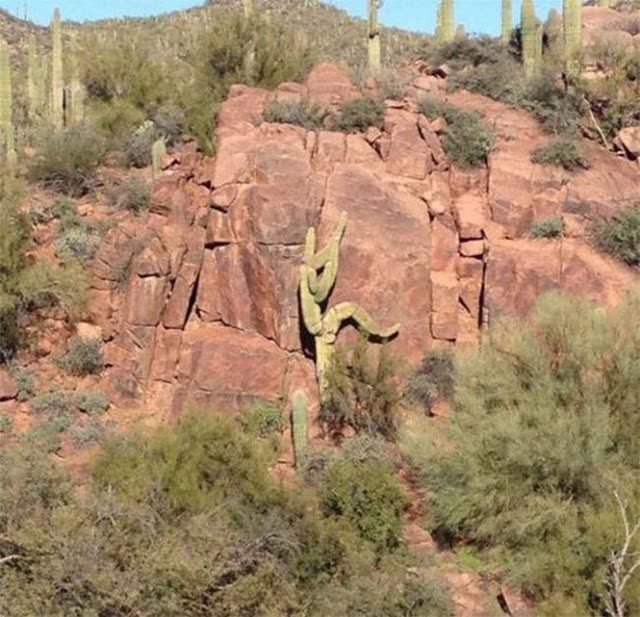 23 imagens que te mostrarão direitinho o que é pareidolia