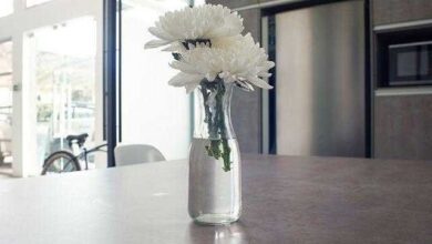 Como tirar cheiro de perfume do ambiente