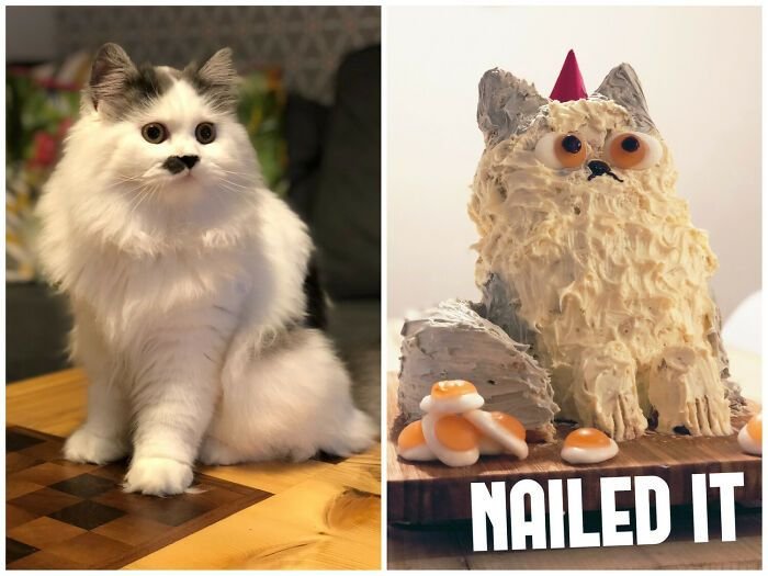 22 vezes que as pessoas tentaram fazer algo sozinhas, mas não saiu como o esperado 4