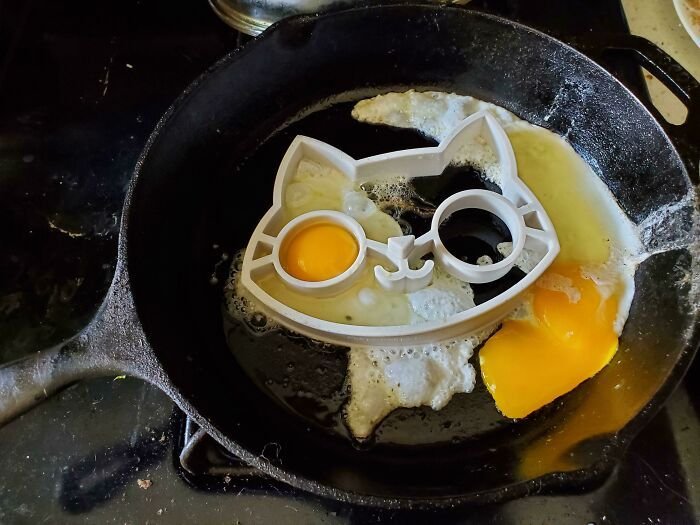 22 vezes que as pessoas tentaram fazer algo sozinhas, mas não saiu como o esperado 22