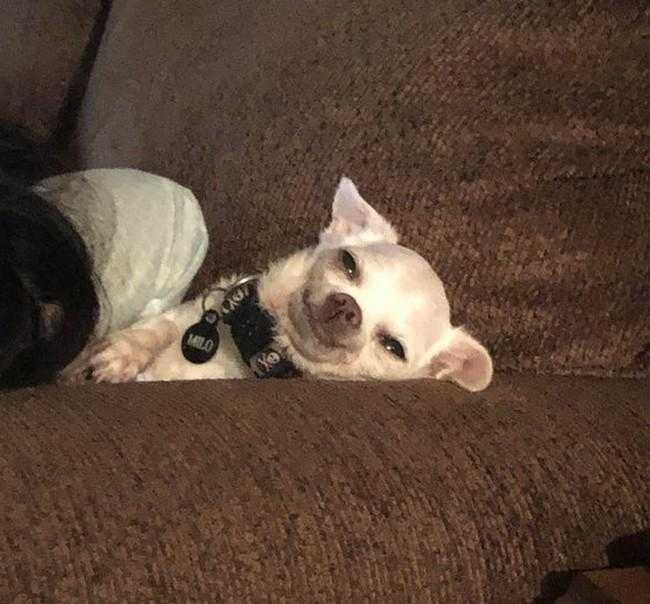 Como transformar um jeans usado em bolsa