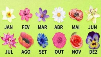 Descubra o que a flor do nascimento diz sobre a sua personalidade de