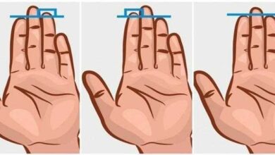 Veja sua mão esquerda e saiba mais sobre sua personalidade