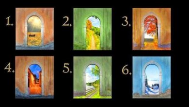 Qual caminho você escolhe? Sua decisão revelará seu futuro!