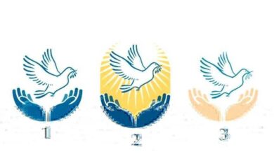 Qual pomba da paz lhe atrai mais? Escolha e veja sua linda mensagem