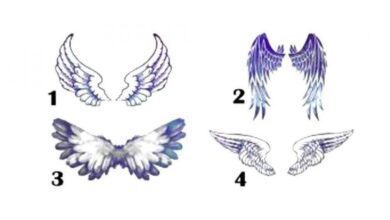 Escolha uma asa e descubra qual arcanjo está com você nessa vida