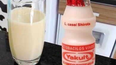 Como Fazer 1 Litro de Yakult Caseiro