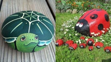 17 Ideias com pedras para decorar o jardim