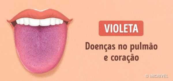 Médicos revelam que comer nozes causa…
