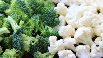 5 Verduras poderosas para turbinar e aumentar a imunidade