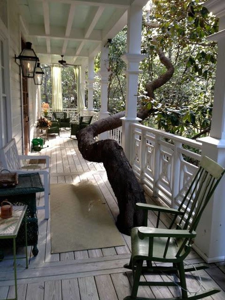 Linguiça Assada na Panela de Pressão com Cebola: Suculenta, Douradinha e Sem Sujeira!