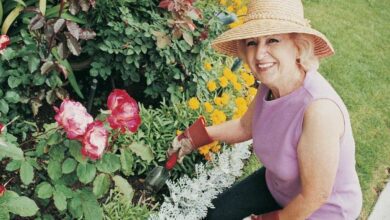 Mulheres que vivem rodeadas por plantas vivem mais, é o que confirma a ciência