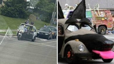 15 carros estranhos que parecem ter saído de um desenho animado