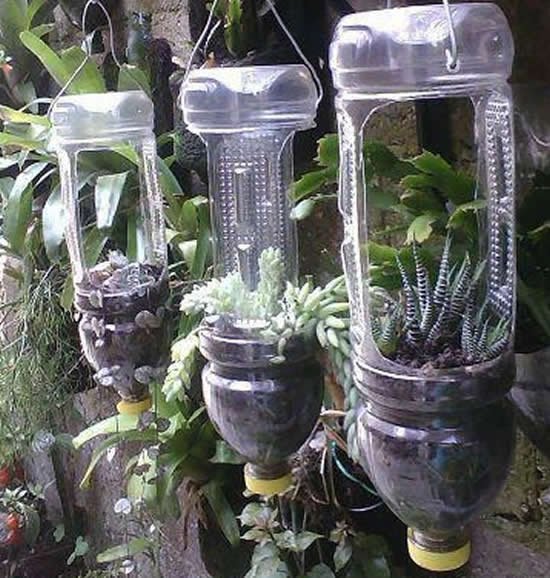 Vasos Lindos em Garrafas PET