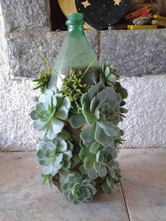 Vasos Lindos em Garrafas PET